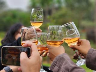 Dégustation de champagne rosé : guide pratique et conseils