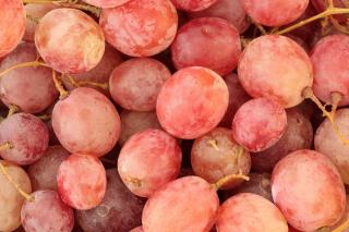 Champagne rosé de saignée, une macération sur peaux